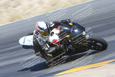 media/May-12-2024-SoCal Trackdays (Sun) [[ad755dc1f9]]/8-Turn 12 Inside (935am)/